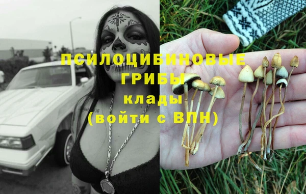 героин Пересвет