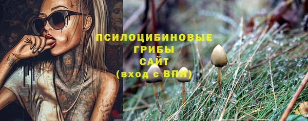 ГАЛЛЮЦИНОГЕННЫЕ ГРИБЫ Алексин